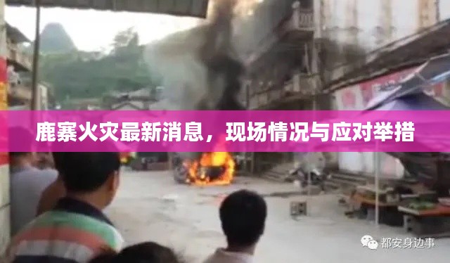 鹿寨火災最新消息，現場情況與應對舉措