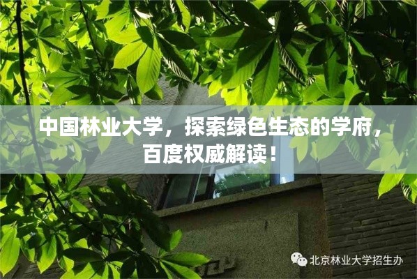 中國林業大學，探索綠色生態的學府，百度權威解讀！