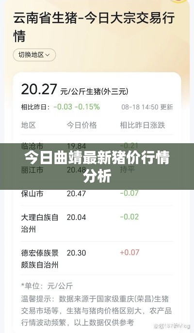今日曲靖最新豬價行情分析