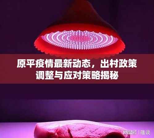原平疫情最新動(dòng)態(tài)，出村政策調(diào)整與應(yīng)對(duì)策略揭秘