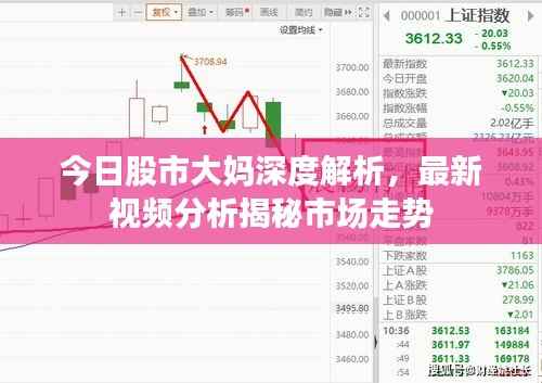 今日股市大媽深度解析，最新視頻分析揭秘市場走勢