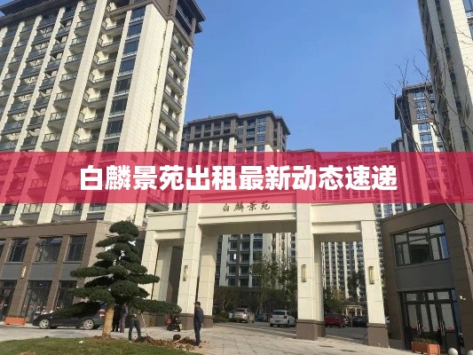 白麟景苑出租最新動態速遞