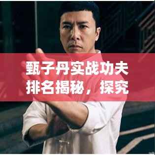 甄子丹實戰(zhàn)功夫排名揭秘，探究武術(shù)巨星的超凡實力