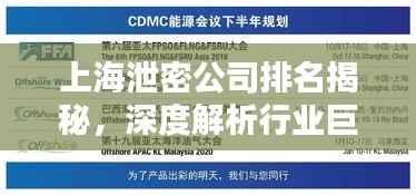 上海泄密公司排名揭秘，深度解析行業巨頭