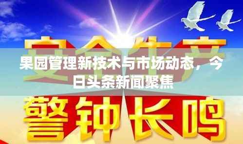 果園管理新技術與市場動態(tài)，今日頭條新聞聚焦