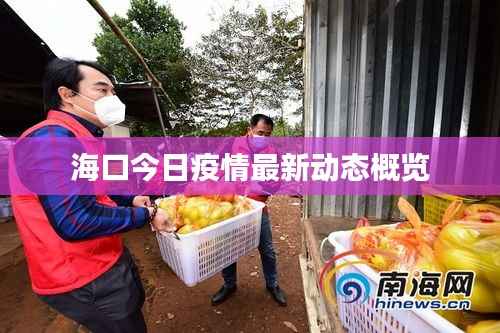 海口今日疫情最新動態概覽