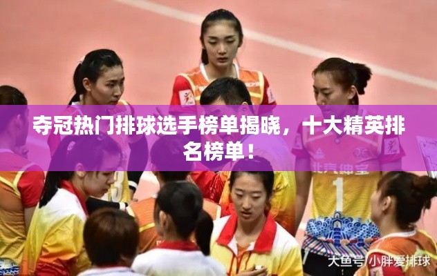 奪冠熱門排球選手榜單揭曉，十大精英排名榜單！
