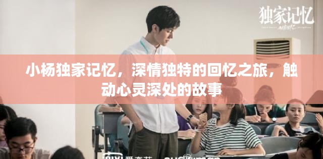 小楊獨(dú)家記憶，深情獨(dú)特的回憶之旅，觸動(dòng)心靈深處的故事