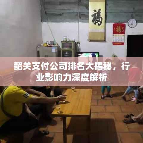 韶關(guān)支付公司排名大揭秘，行業(yè)影響力深度解析