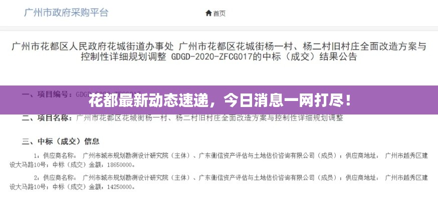 花都最新動態速遞，今日消息一網打盡！