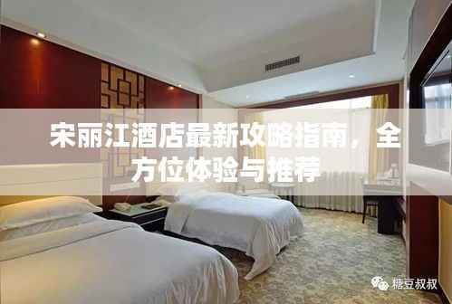 宋麗江酒店最新攻略指南，全方位體驗與推薦