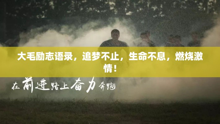 大毛勵志語錄，追夢不止，生命不息，燃燒激情！