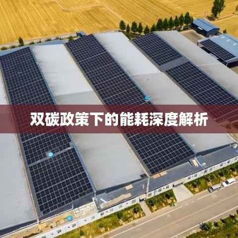 衣不兼彩 第4頁(yè)