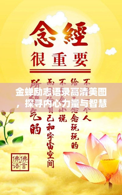 金蟬勵(lì)志語錄高清美圖，探尋內(nèi)心力量與智慧，激發(fā)無限潛能！