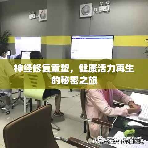 神經修復重塑，健康活力再生的秘密之旅