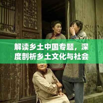 解讀鄉土中國專題，深度剖析鄉土文化與社會根源