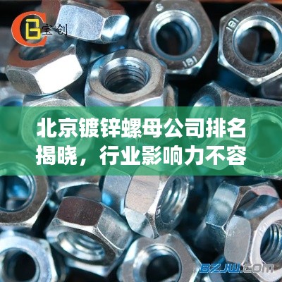 北京鍍鋅螺母公司排名揭曉，行業影響力不容小覷
