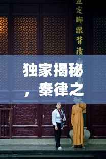 獨家揭秘，秦律之魅力——探尋古代法律的獨特韻味