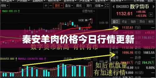 秦安羊肉價格今日行情更新