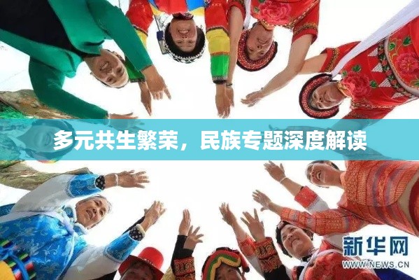多元共生繁榮，民族專題深度解讀