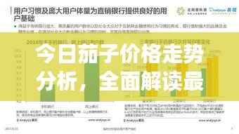 今日茄子價(jià)格走勢分析，全面解讀最新行情