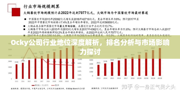 Ocky公司行業地位深度解析，排名分析與市場影響力探討