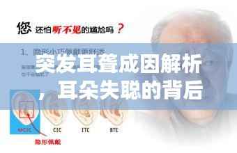 突發耳聾成因解析，耳朵失聰的背后因素揭秘