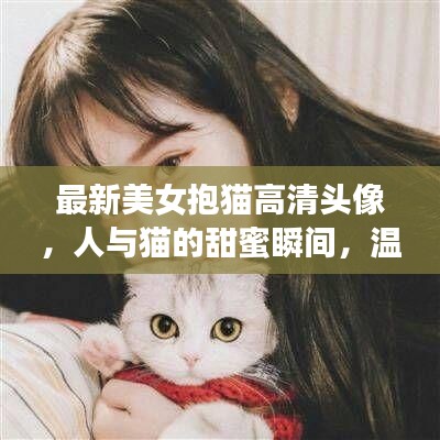 最新美女抱貓高清頭像，人與貓的甜蜜瞬間，溫馨畫面不容錯過