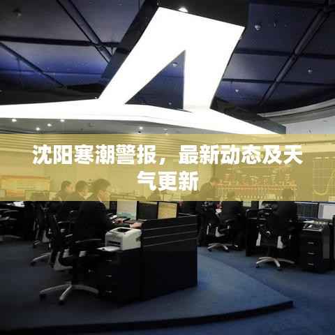 沈陽寒潮警報，最新動態及天氣更新