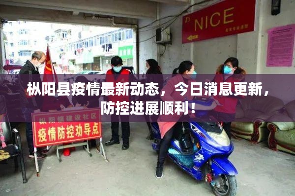 樅陽縣疫情最新動態，今日消息更新，防控進展順利！