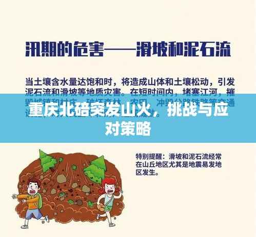 重慶北碚突發(fā)山火，挑戰(zhàn)與應(yīng)對(duì)策略