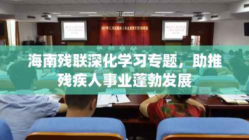 海南殘聯深化學習專題，助推殘疾人事業蓬勃發展