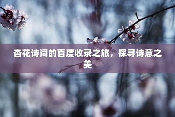 杏花詩詞的百度收錄之旅，探尋詩意之美