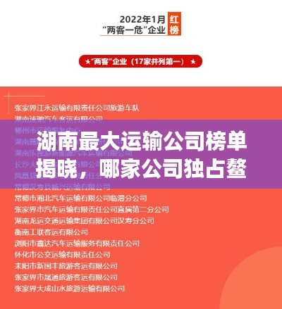 湖南最大運輸公司榜單揭曉，哪家公司獨占鰲頭？