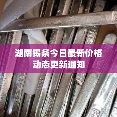 湖南錫條今日最新價(jià)格動(dòng)態(tài)更新通知