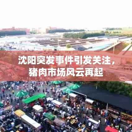 沈陽突發事件引發關注，豬肉市場風云再起