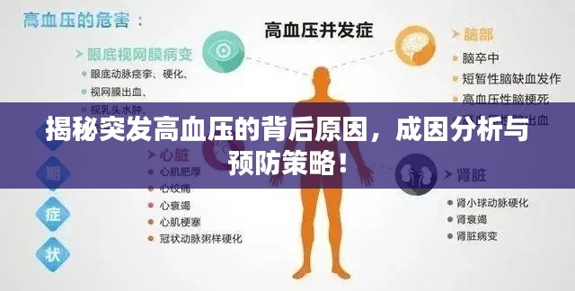 揭秘突發高血壓的背后原因，成因分析與預防策略！