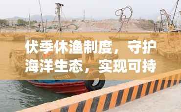 伏季休漁制度，守護(hù)海洋生態(tài)，實現(xiàn)可持續(xù)發(fā)展之路
