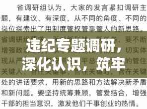 違紀(jì)專題調(diào)研，深化認識，筑牢防線，守護制度紅線