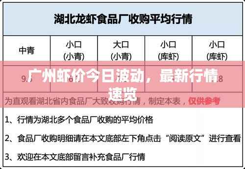 廣州蝦價(jià)今日波動(dòng)，最新行情速覽