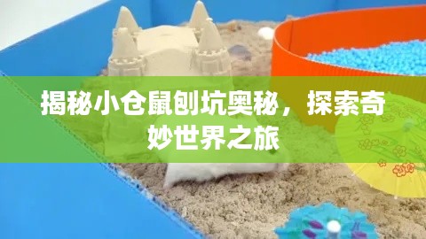 揭秘小倉(cāng)鼠刨坑奧秘，探索奇妙世界之旅