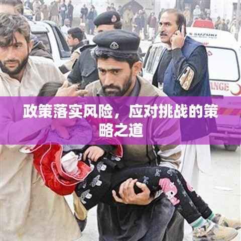 政策落實(shí)風(fēng)險(xiǎn)，應(yīng)對(duì)挑戰(zhàn)的策略之道