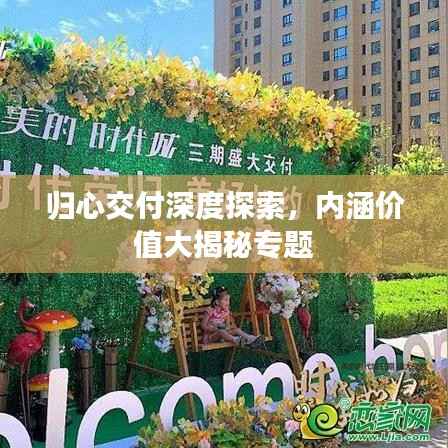 歸心交付深度探索，內涵價值大揭秘專題