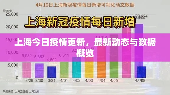 上海今日疫情更新，最新動態與數據概覽