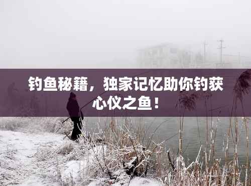 釣魚秘籍，獨(dú)家記憶助你釣獲心儀之魚！