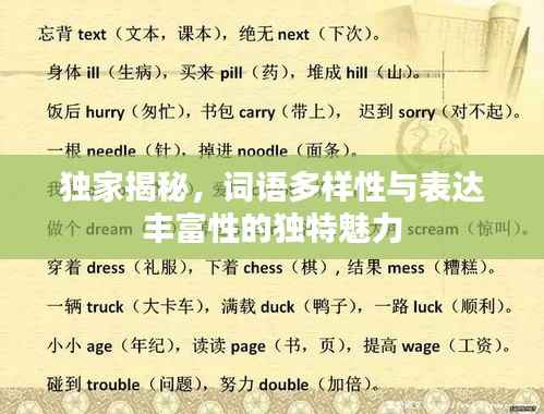 獨(dú)家揭秘，詞語多樣性與表達(dá)豐富性的獨(dú)特魅力