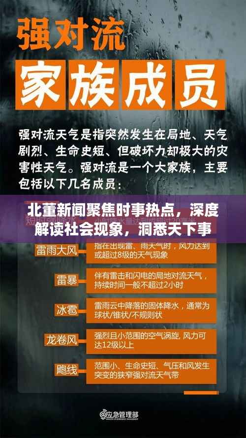 北董新聞聚焦時事熱點，深度解讀社會現象，洞悉天下事