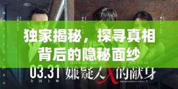 獨家揭秘，探尋真相背后的隱秘面紗