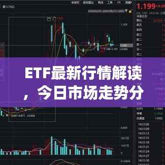ETF最新行情解讀，今日市場(chǎng)走勢(shì)分析