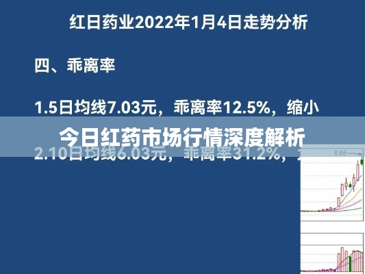今日紅藥市場行情深度解析